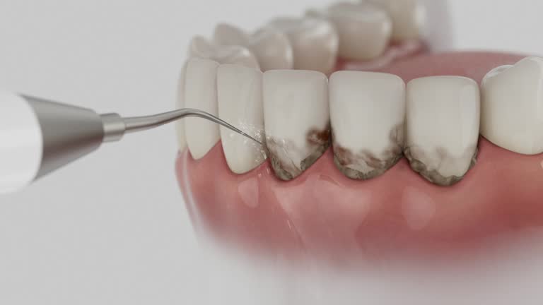 Reliable Dental contractor in Choteau, MT by Dentist Open Now